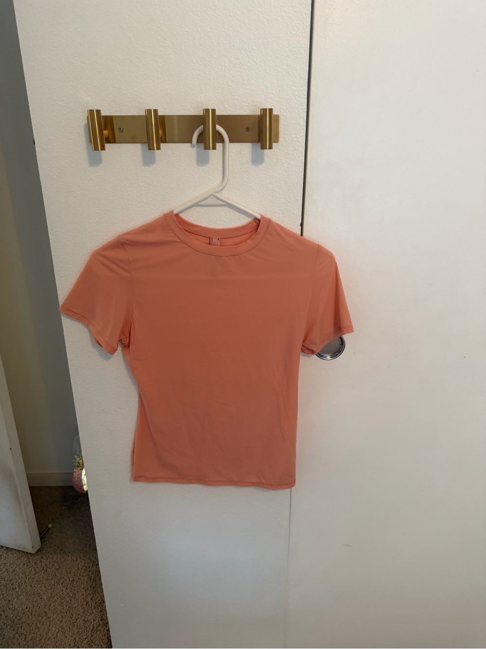 Peach Skims Fits Everybody Shirt